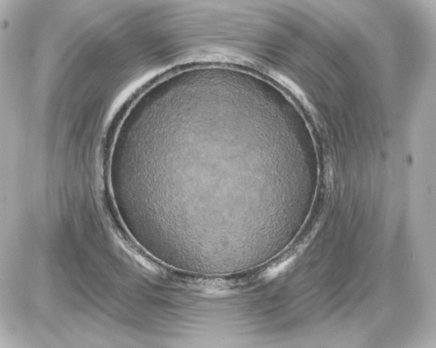 X0000087531120200705112024