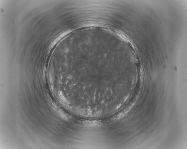 X0000087531121200705112024