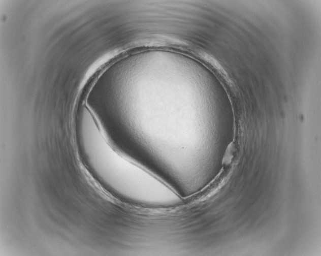 X0000087531122200705112024