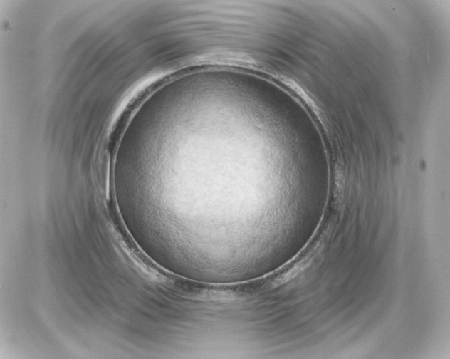 X0000087531123200705112024