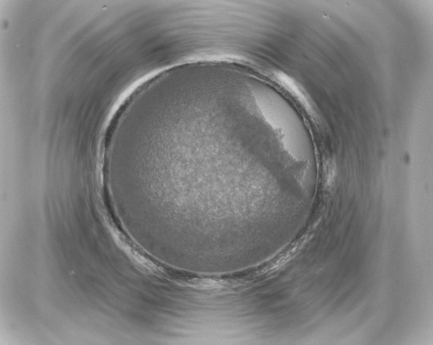 X0000087531124200705112024