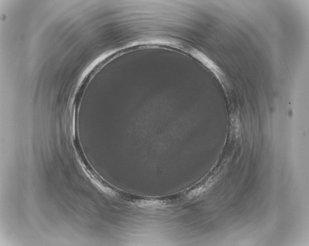 X0000087531127200705112024