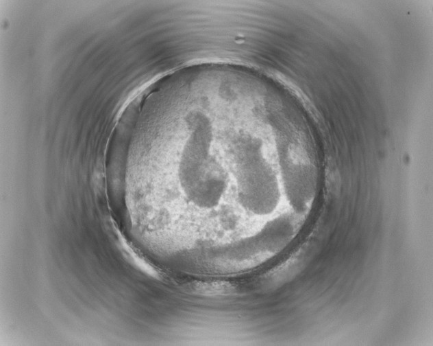 X0000087531129200705112024