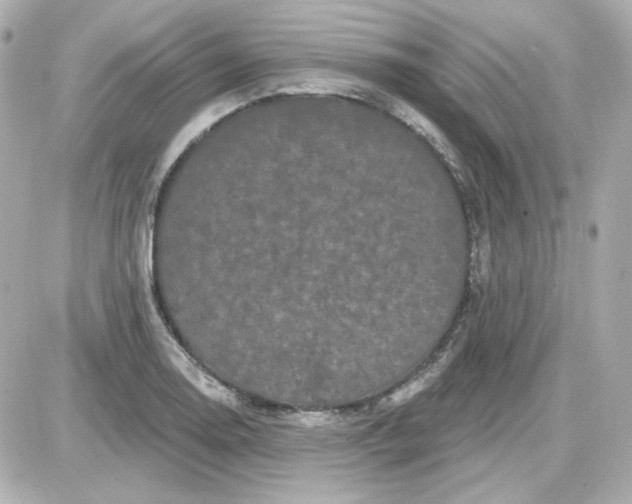 X0000087531130200705112024