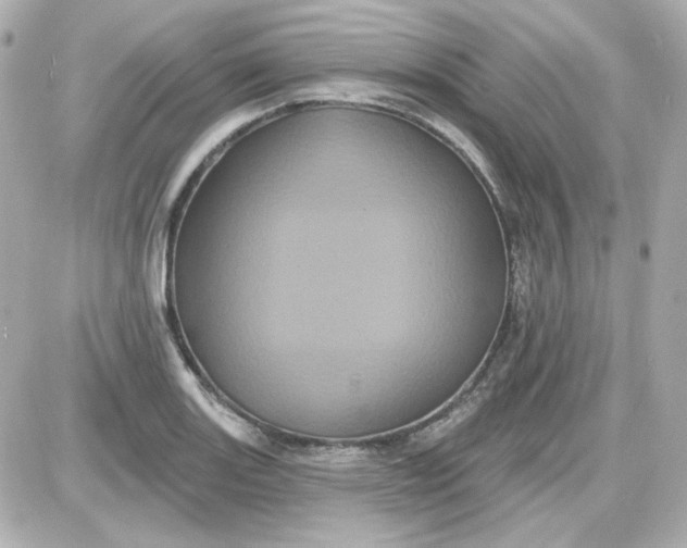 X0000087531131200705112024