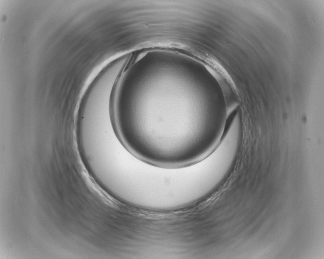 X0000087531132200705112025