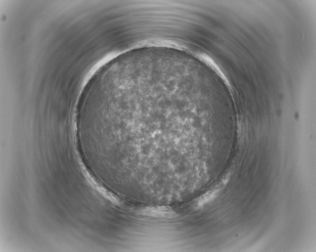 X0000087531133200705112025