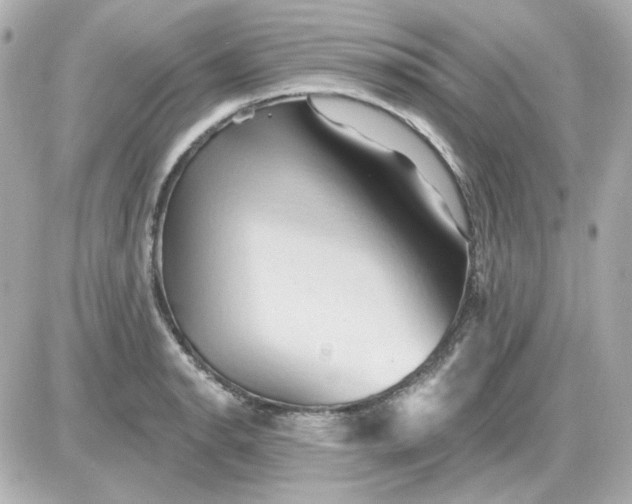 X0000087531134200705112025