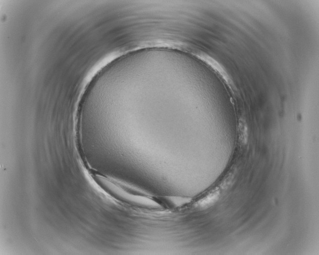 X0000087531135200705112025