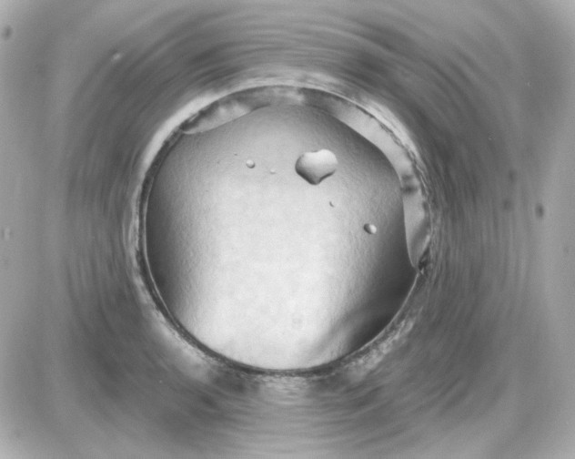 X0000087531136200705112025