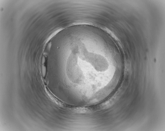 X0000087531137200705112025