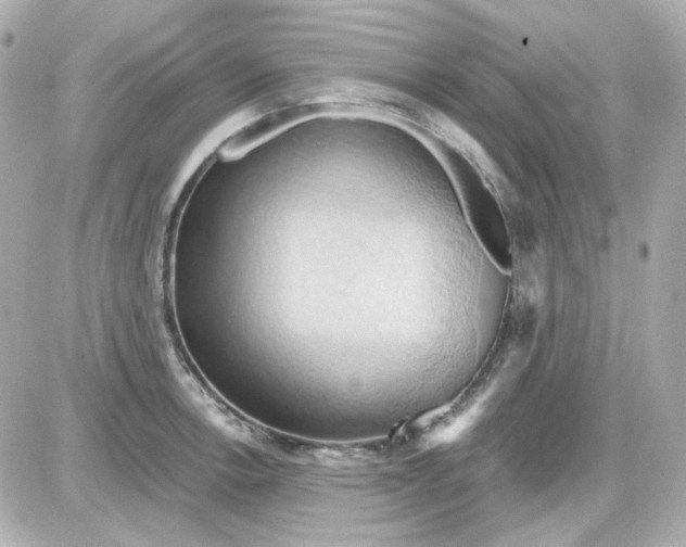 X0000087531138200705112025