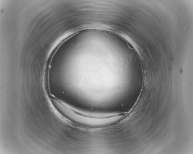 X0000087531139200705112025