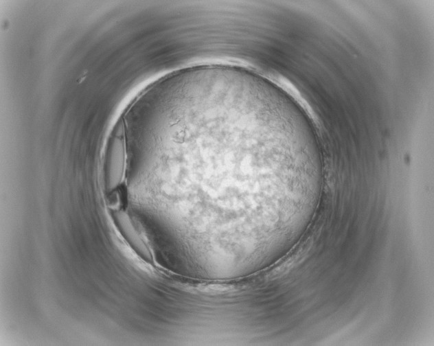 X0000087531140200705112025