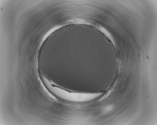 X0000087531141200705112025