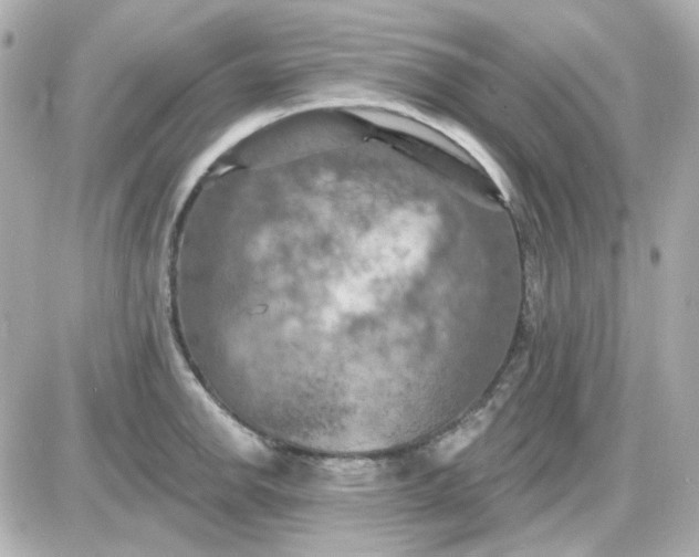 X0000087531142200705112025