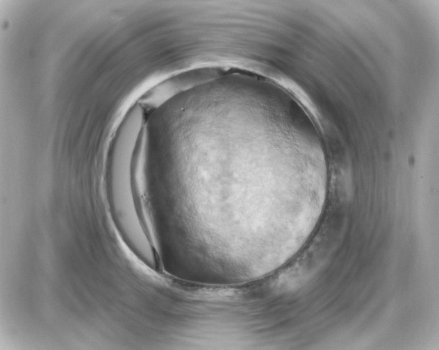 X0000087531143200705112025