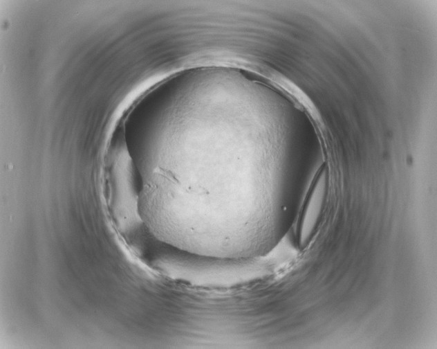 X0000087531144200705112025