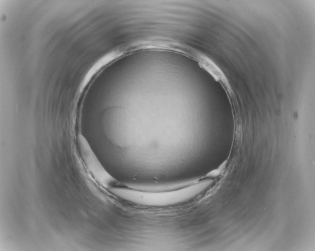 X0000087531146200705112025