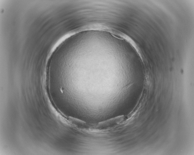 X0000087531147200705112025