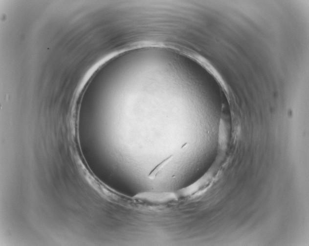 X0000087531148200705112025