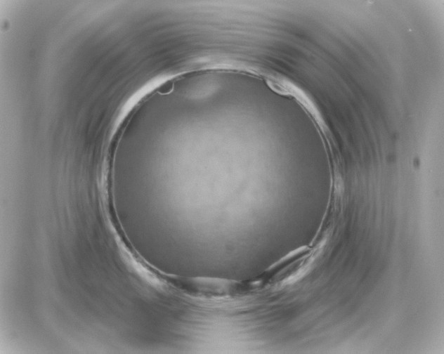 X0000087531149200705112025