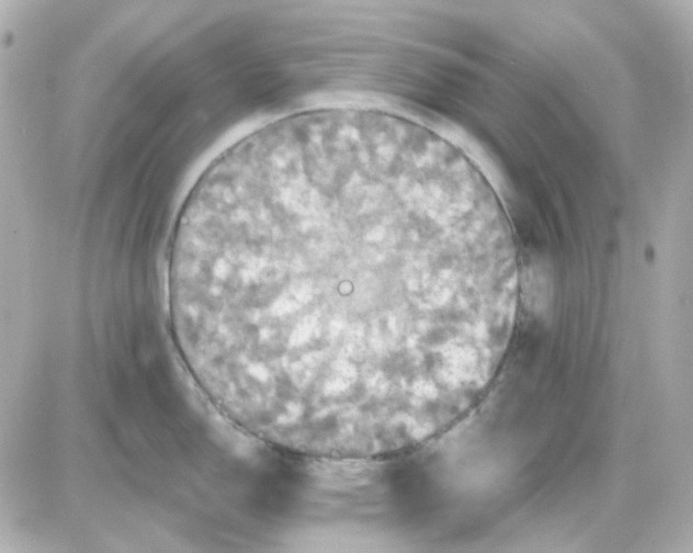 X0000087531150200705112025