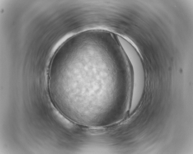 X0000087531151200705112025