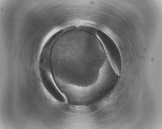 X0000087531152200705112025