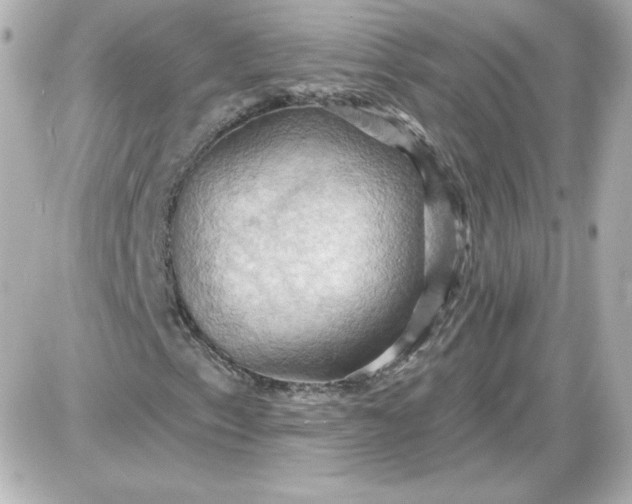 X0000087531153200705112024