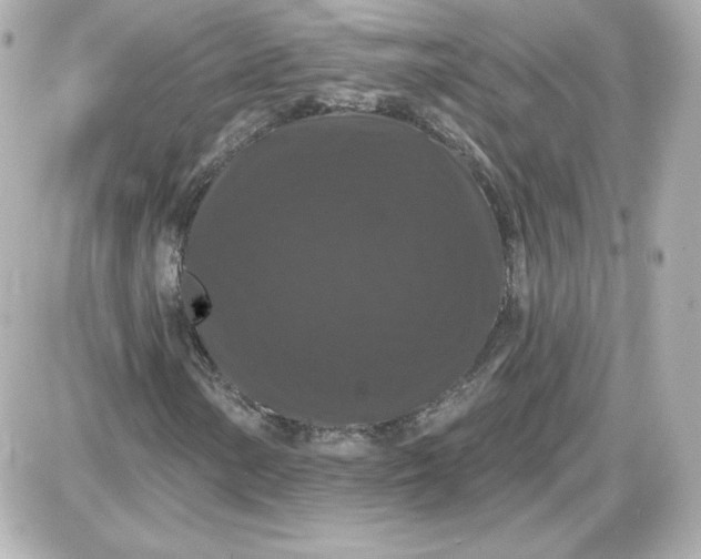 X0000087531154200705112024