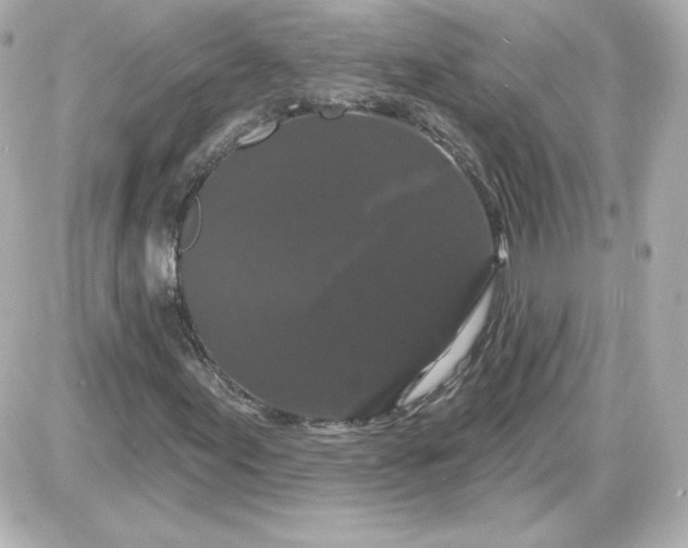 X0000087531155200705112024