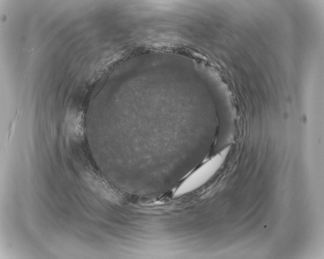 X0000087531156200705112024