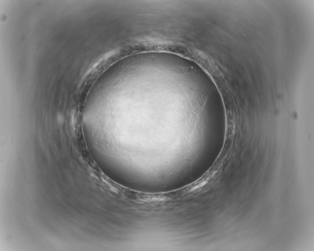 X0000087531157200705112024