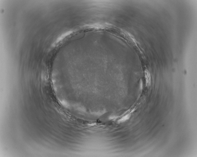 X0000087531158200705112024