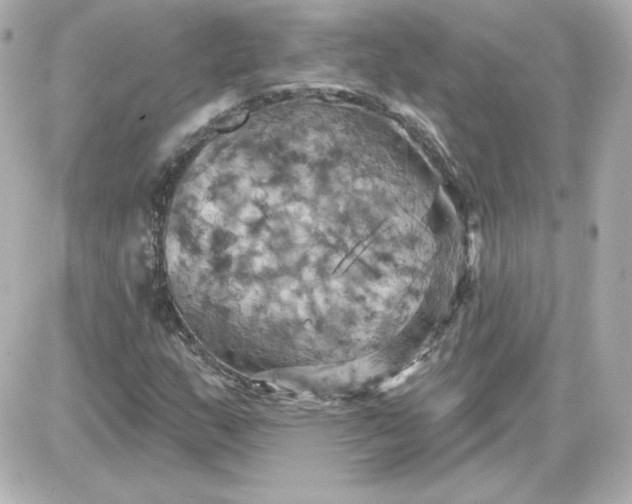 X0000087531159200705112024