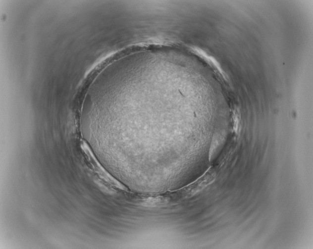 X0000087531160200705112024