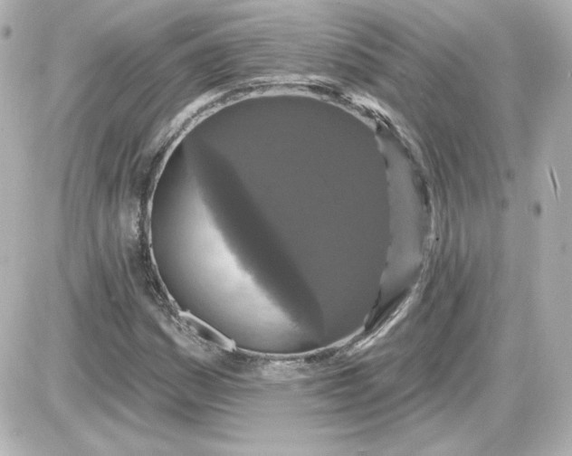 X0000087531161200705112024