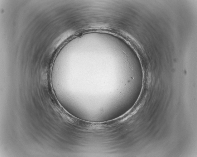 X0000087531162200705112024