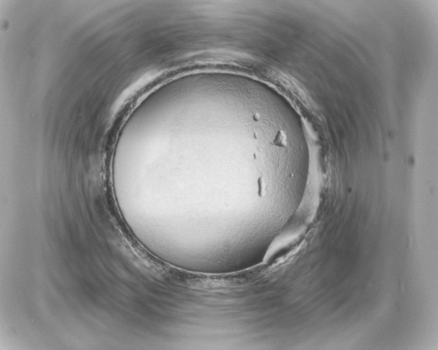 X0000087531164200705112024