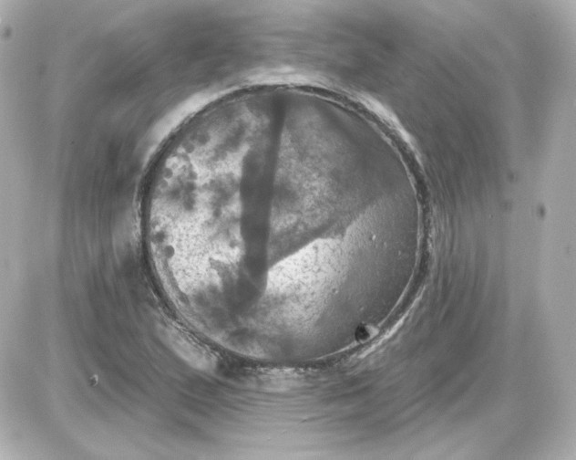 X0000087531167200705112024