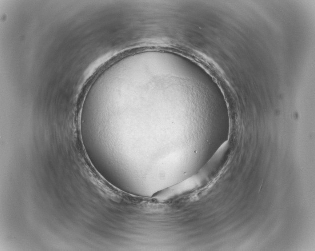 X0000087531168200705112024