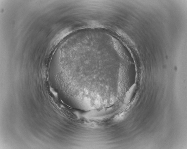 X0000087531169200705112024