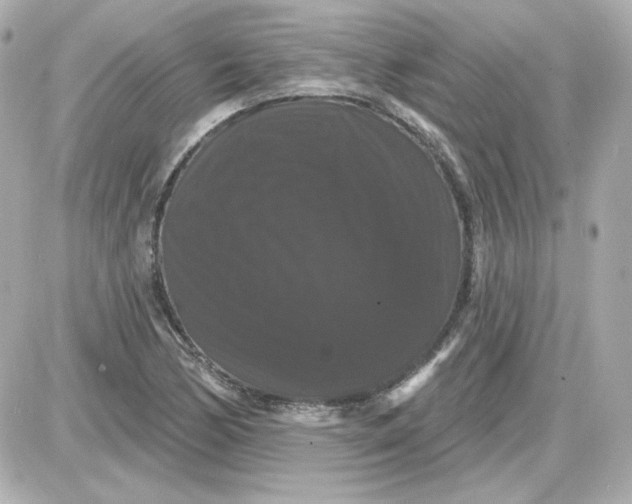 X0000087531170200705112024