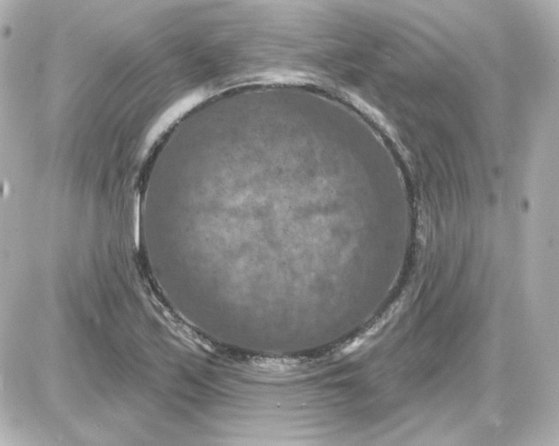 X0000087531171200705112024