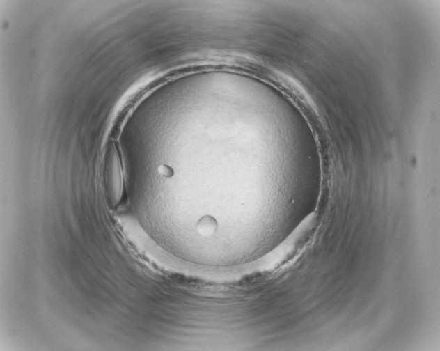 X0000087531172200705112024