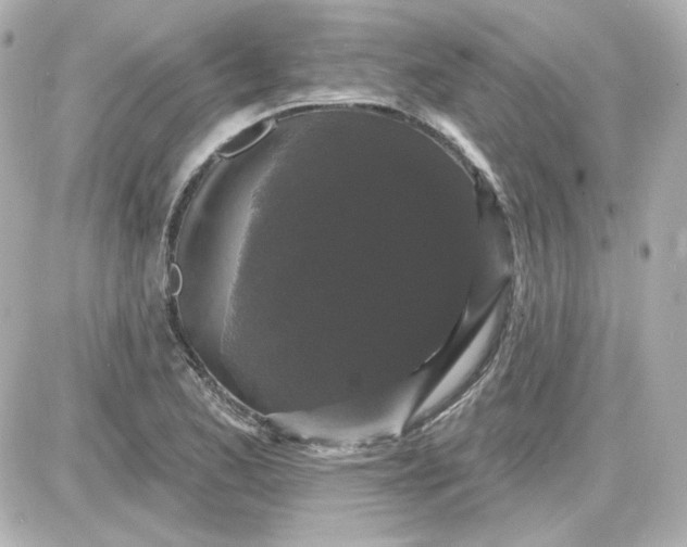 X0000087531173200705112024