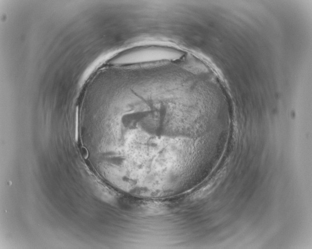 X0000087531175200705112024