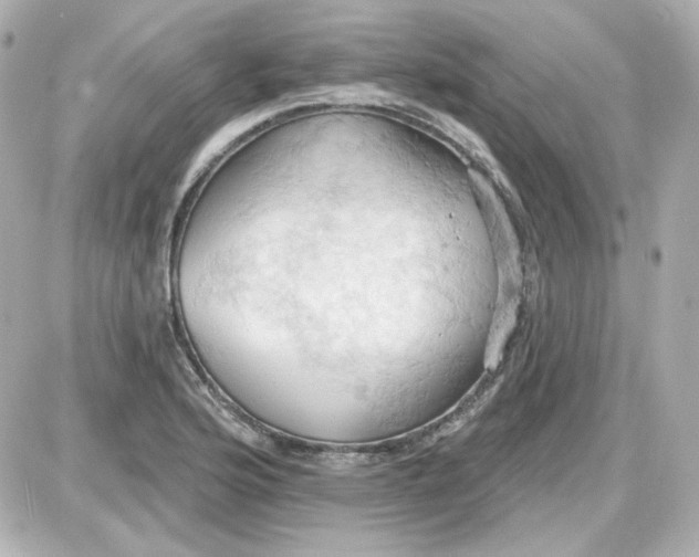 X0000087531176200705112024