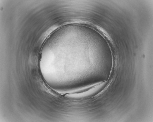 X0000087531177200705112024